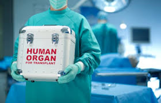 Human organ donation 